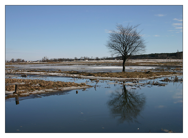 photo "Thawing weather" tags: landscape, nature, spring