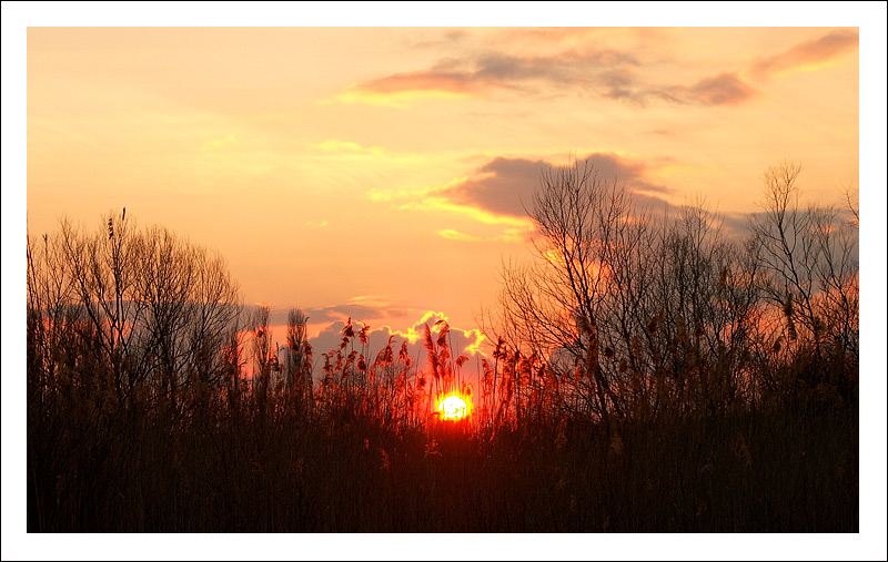 photo "***" tags: landscape, spring, sunset