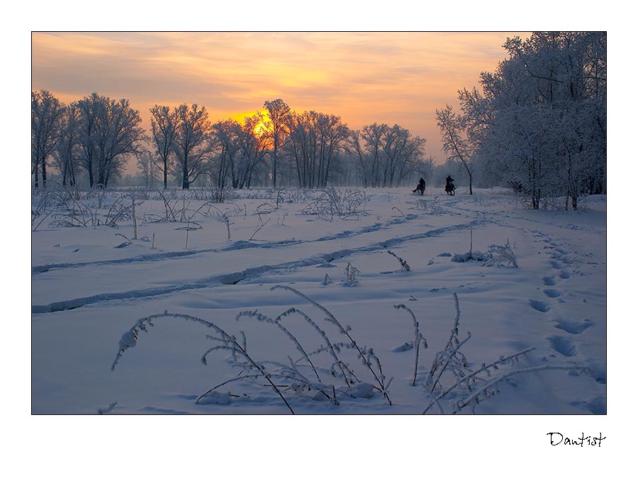 фото "Зимние тропы" метки: пейзаж, 