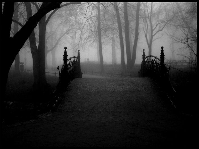 photo "[ fog.1 ]" tags: landscape, black&white, 