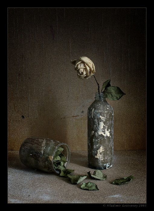 photo "Emotions" tags: still life, 