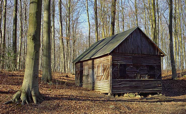 photo "it`s closed" tags: landscape, forest, winter