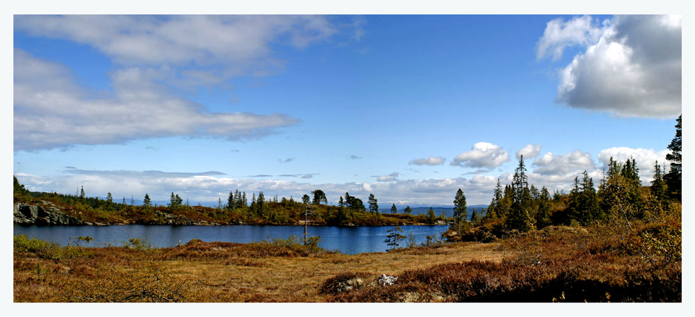 photo "The land we love" tags: landscape, autumn