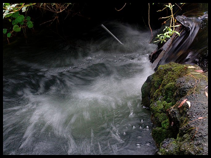 photo "Flow" tags: still life, landscape, water