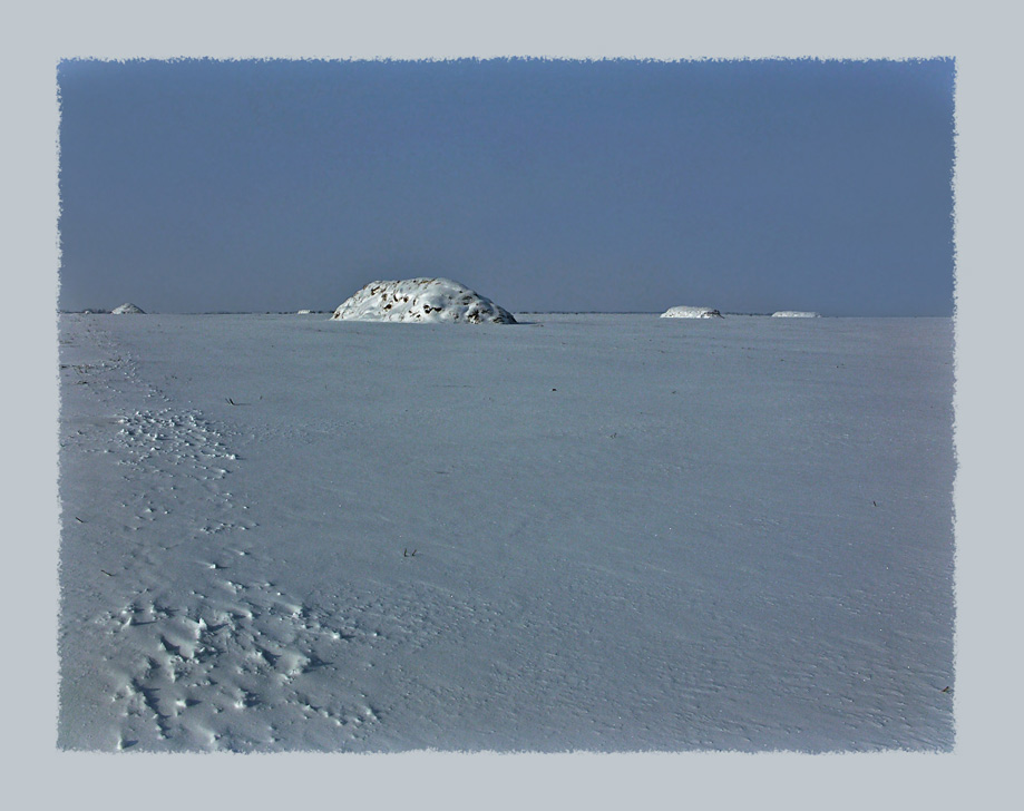 photo "13-00 Under the blue sky" tags: landscape, winter