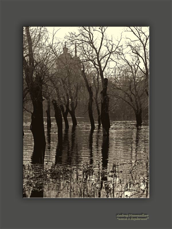 photo "Untitled photo" tags: landscape, black&white, spring