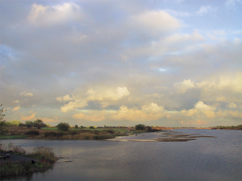 photo "Summer" tags: nature, 