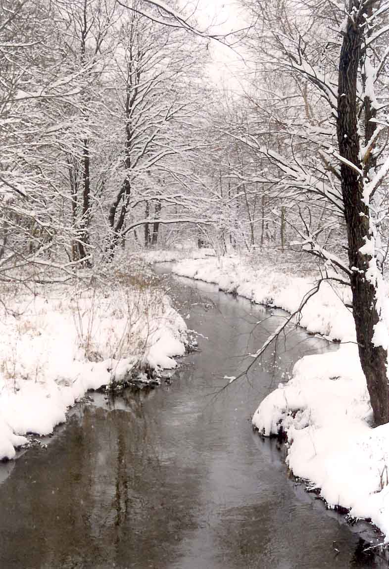 фото "первый снег" метки: пейзаж, зима