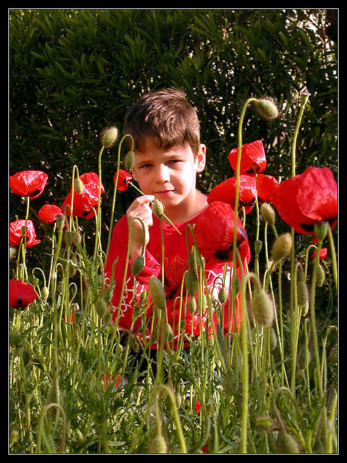 photo "red" tags: portrait, children