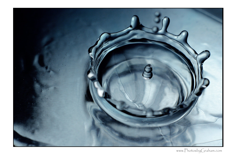 photo "The Crown" tags: misc., macro and close-up, 