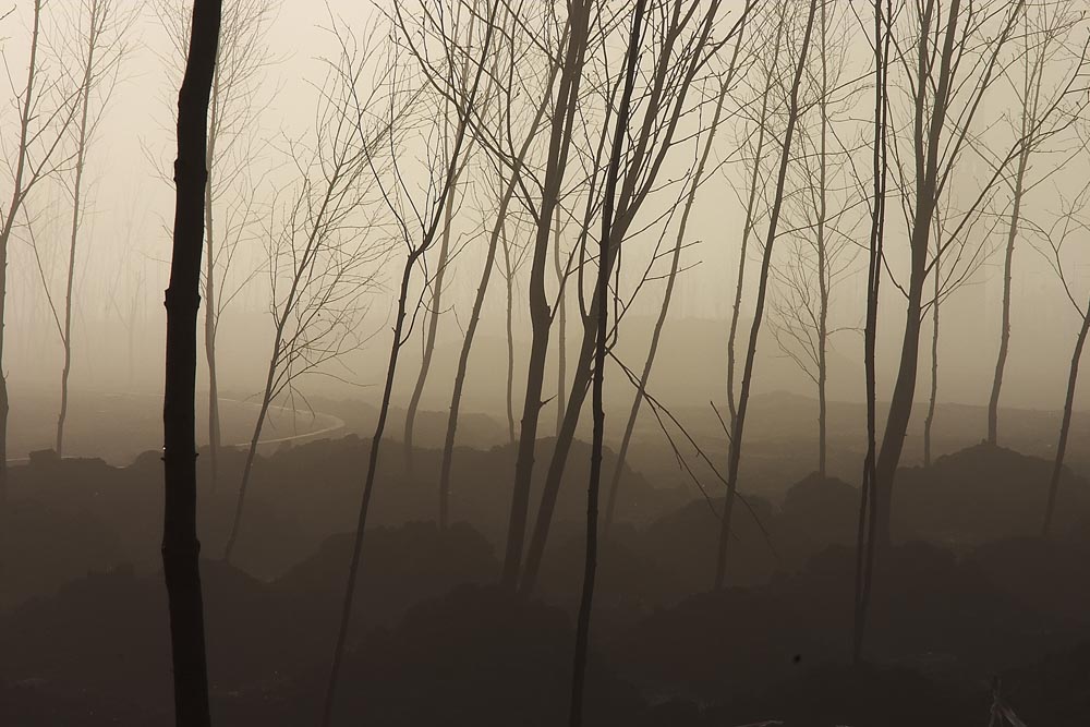 photo "Foggy morning" tags: nature, 