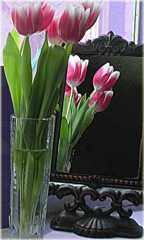 photo "tulips" tags: misc., 