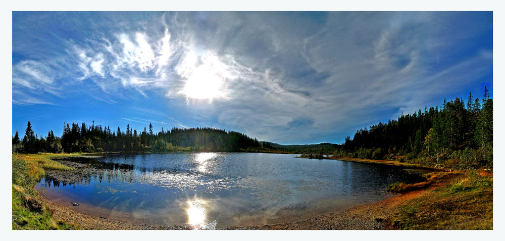 photo "From the forest of fall 2004" tags: landscape, summer