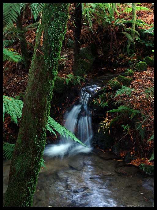фото "Mini waterfall in Rotorua" метки: пейзаж, вода, осень
