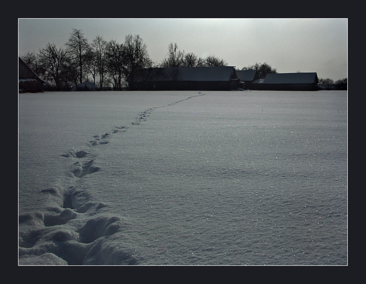 photo "14-00" tags: landscape, winter