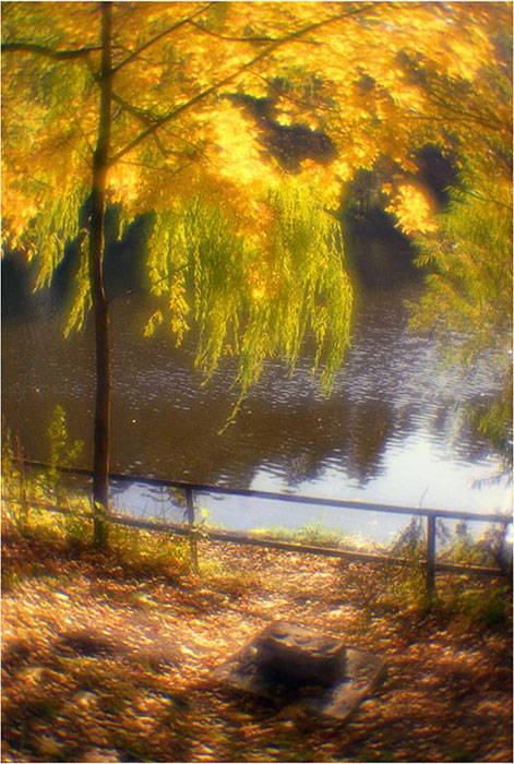 photo "Back streets of autumn 2" tags: landscape, autumn