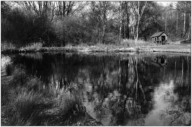 photo "the hut" tags: landscape, water