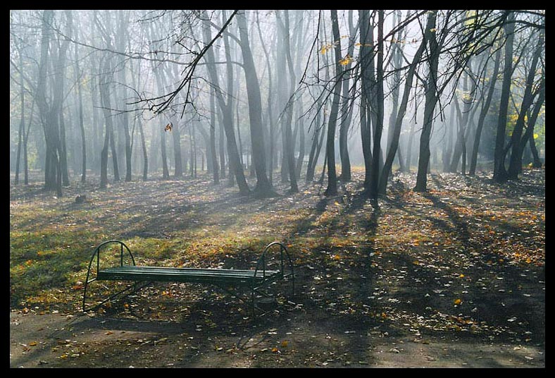 фото "Утро в парке" метки: пейзаж, осень