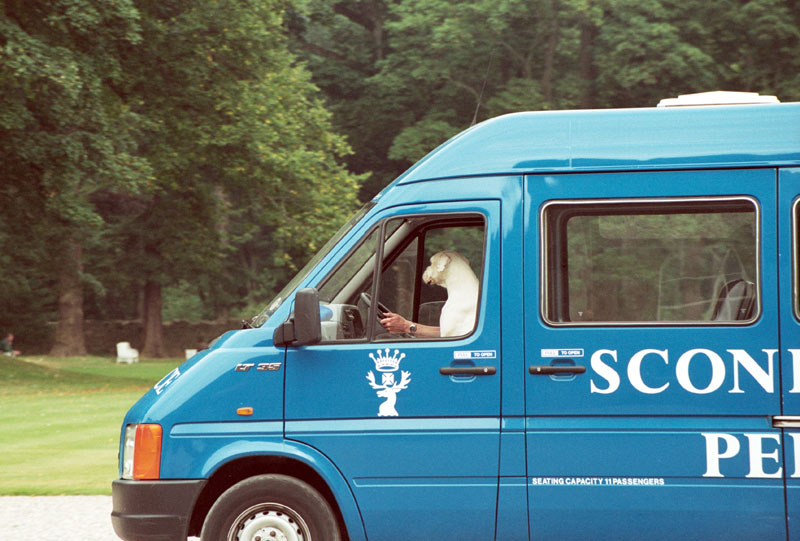фото "Driver dog" метки: природа, путешествия, Европа, домашние животные