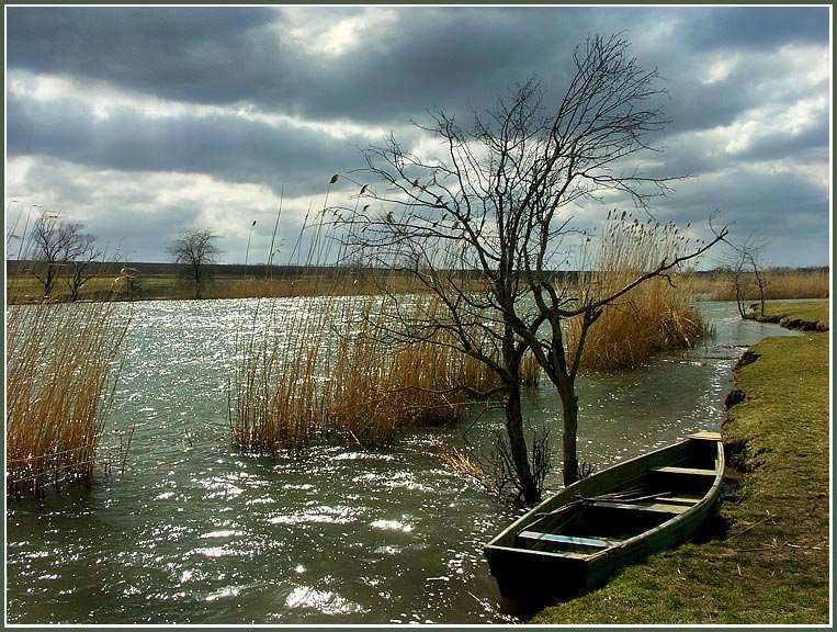 photo "***" tags: landscape, spring, water