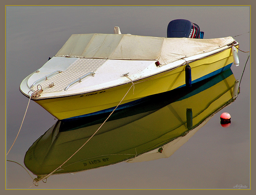 photo "Tied in the winter" tags: landscape, water, winter