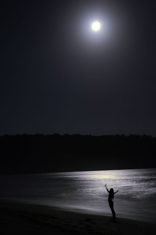 photo "In the Moon Light" tags: landscape, genre, night