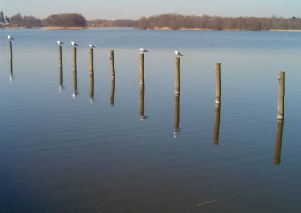 photo "Lake." tags: travel, Europe