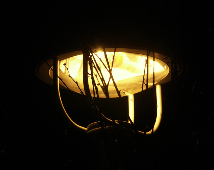 photo "Night. Street. Torch." tags: architecture, landscape, night