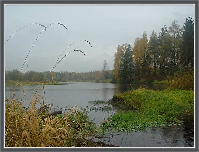 photo "Rainy october picture" tags: landscape, autumn, water