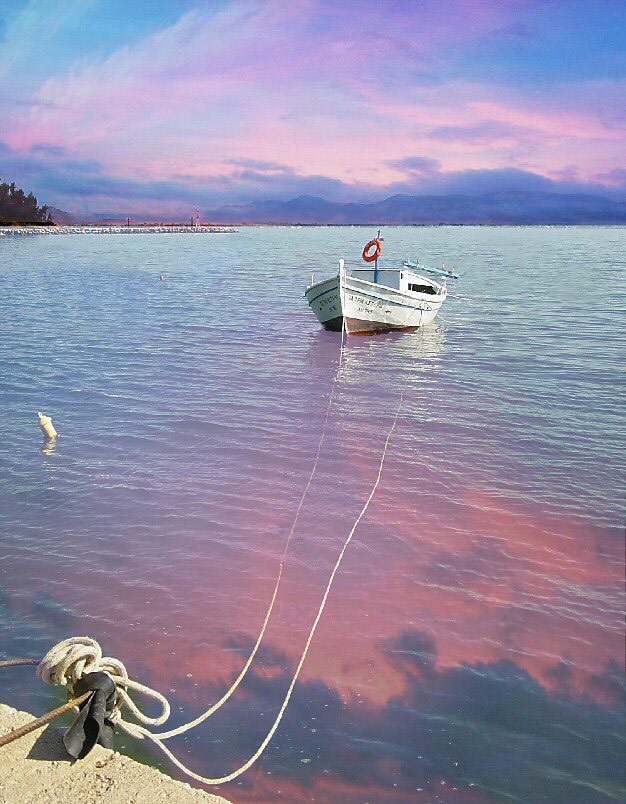 photo "***" tags: misc., 