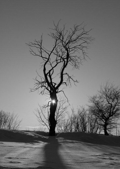 фото "Луч солнца" метки: пейзаж, закат