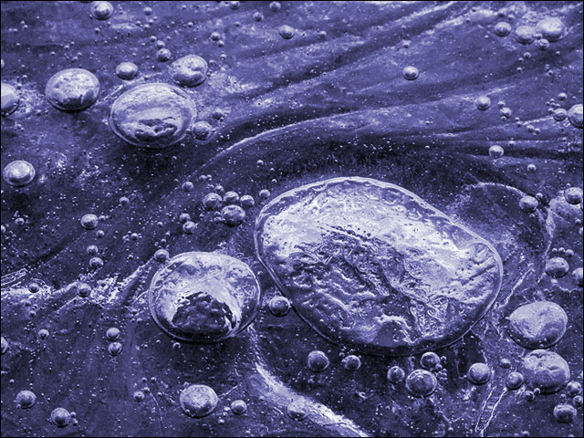 photo "Microcosmos" tags: macro and close-up, 