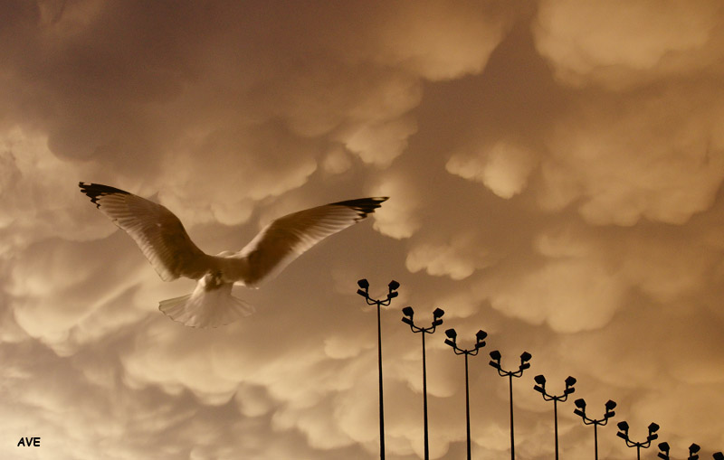 photo "get away..." tags: landscape, genre, clouds