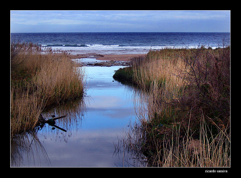 photo "runing to the sea" tags: travel, landscape, Europe