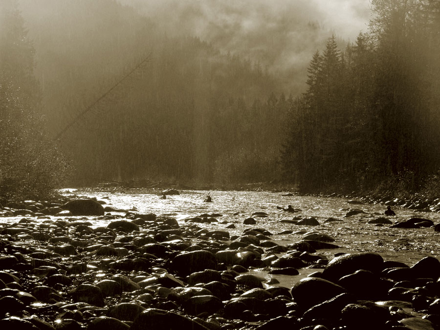 photo "Springtime Rain" tags: landscape, forest, water