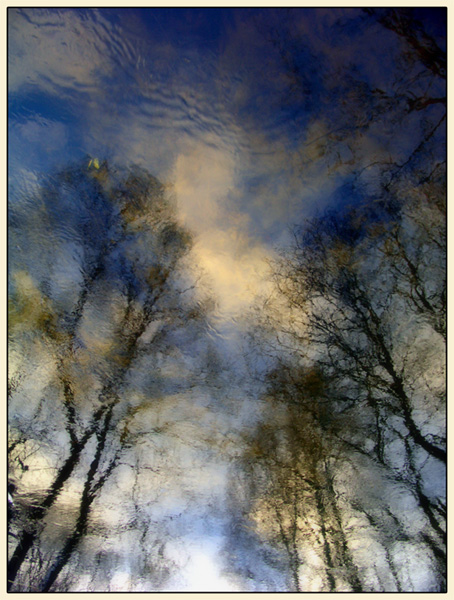 photo "Winter Water-Color" tags: landscape, forest, winter