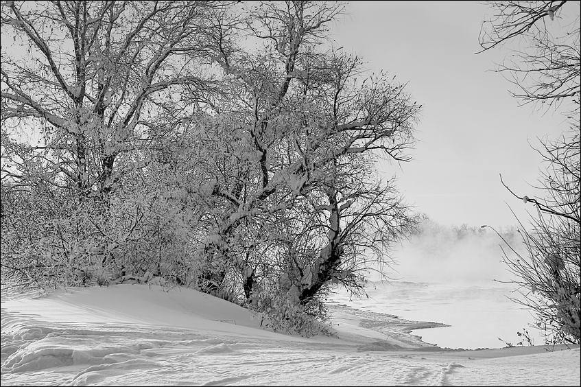 photo "Winter coast" tags: black&white, 