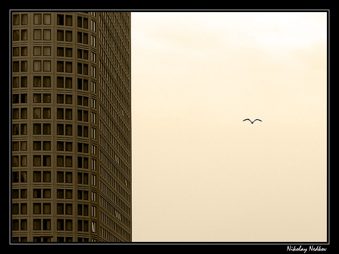 photo "Untitled photo" tags: landscape, 