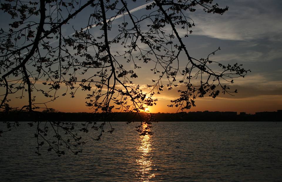 photo "Branches and The Sun" tags: landscape, sunset, water