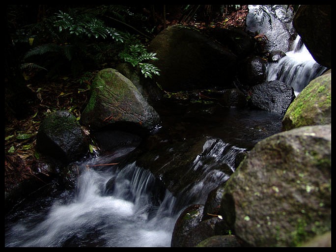 photo "***" tags: genre, landscape, summer