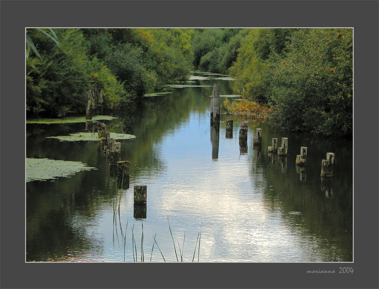 photo "Calm place" tags: landscape, summer, water