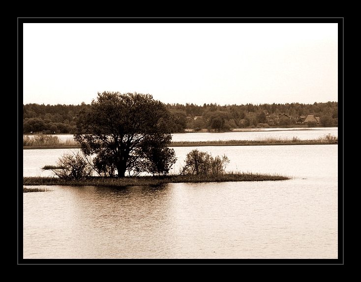 photo "El rio Shosha..." tags: landscape, black&white, water