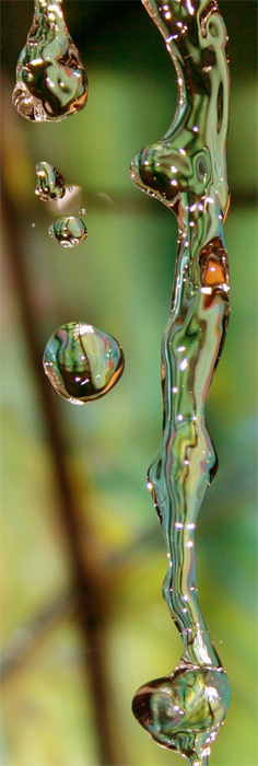 фото "Water Drops" метки: разное, макро и крупный план, 