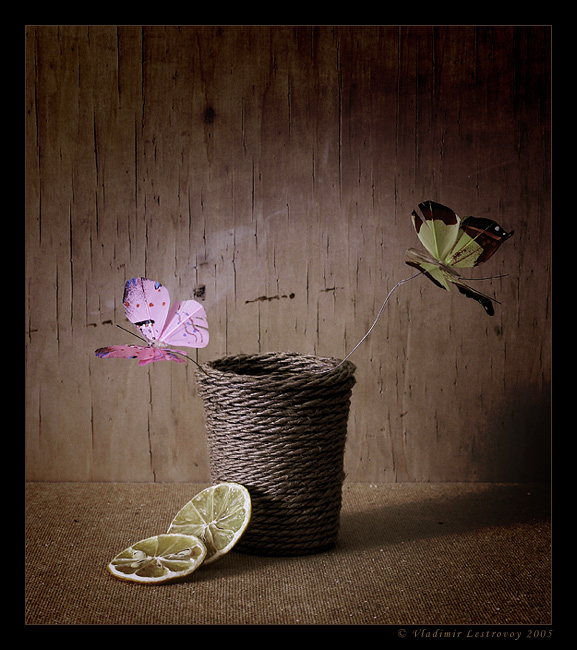 photo "Butterflies" tags: still life, 