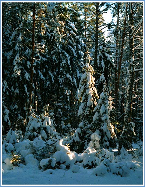 photo "Good-bye winter!" tags: landscape, winter