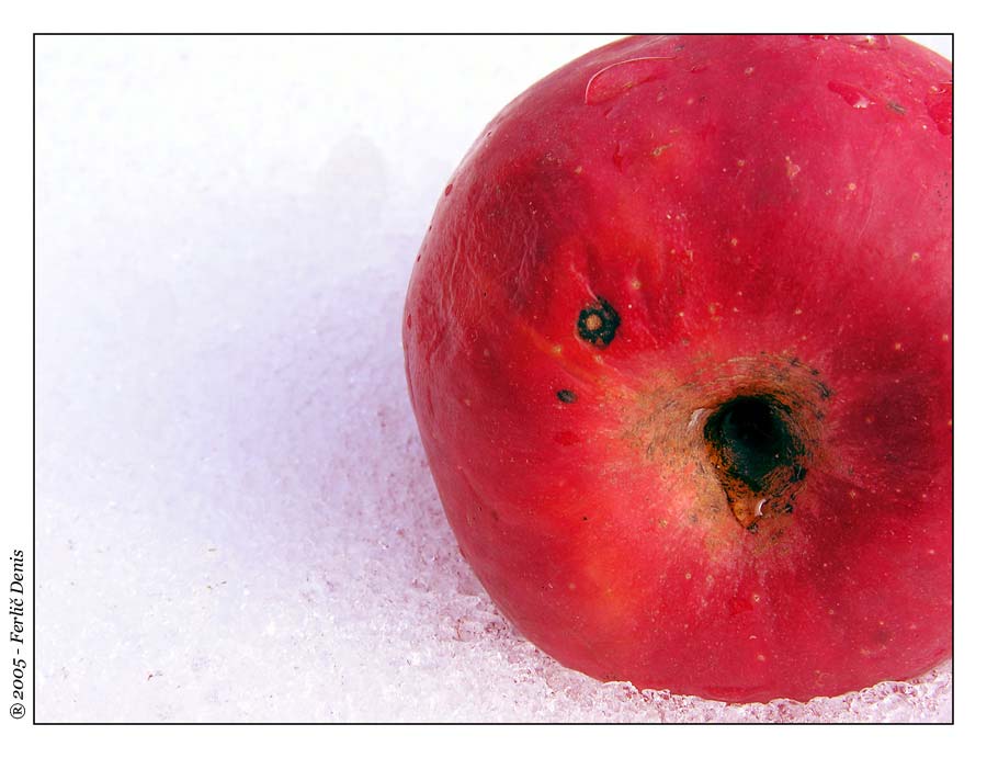 фото "Winter Apple" метки: натюрморт, 
