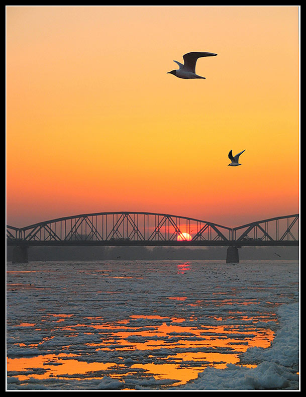 photo "Wisla 1" tags: landscape, 
