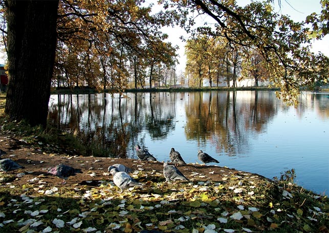 фото "Последние дни осени" метки: пейзаж, вода, осень
