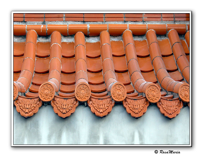 photo "Roof Details" tags: travel, architecture, landscape, South America