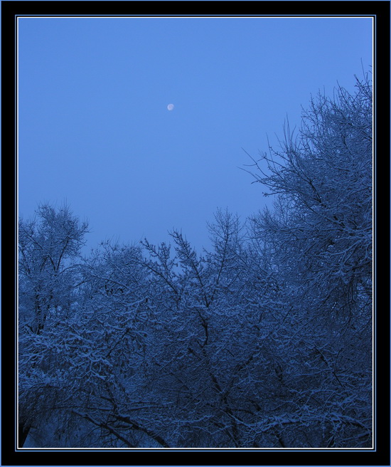 photo "Winter morning" tags: landscape, nature, autumn